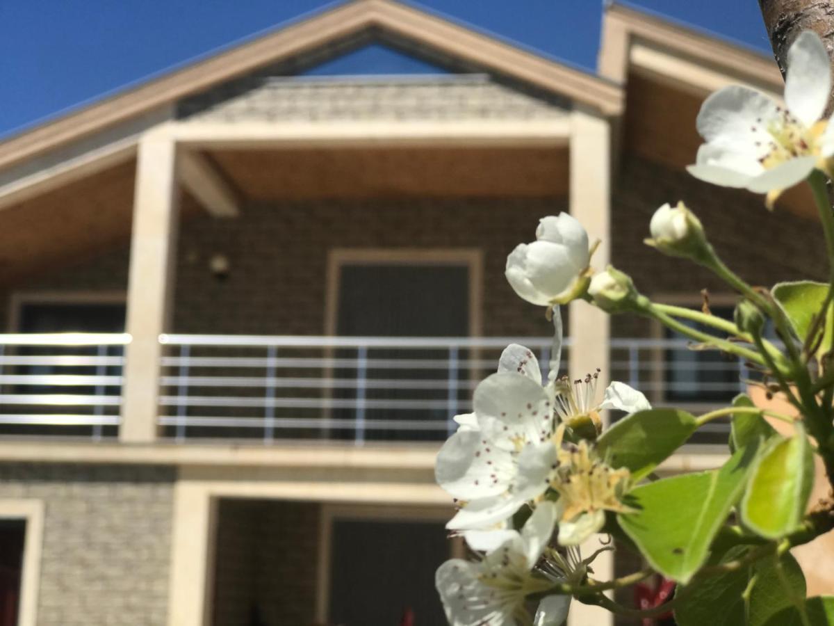 Villa Garden Shkodra ภายนอก รูปภาพ
