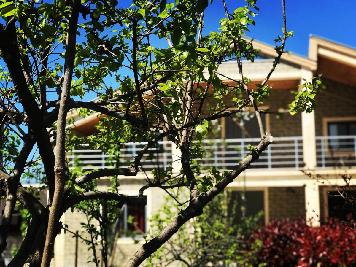 Villa Garden Shkodra ภายนอก รูปภาพ